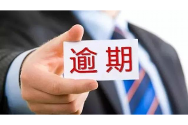 天峨遇到恶意拖欠？专业追讨公司帮您解决烦恼